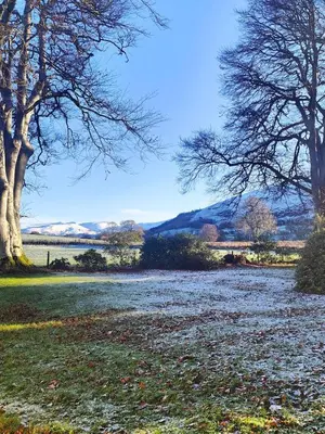 a field with trees and snow on the ground at Cozy cottage at the base of Sale and Ling Fell in Embleton