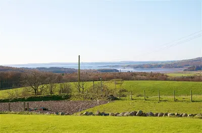 a herd of sheep grazing in a green field at 1 Bed in Gatehouse Of Fleet oc-t34445 in Gatehouse of Fleet