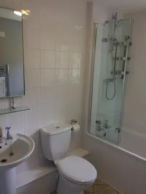 a bathroom with a toilet and a shower and a sink at High Snab Cottage Newlands Valley in Keswick