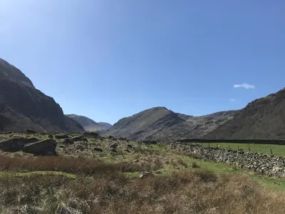 a herd of sheep in a field with mountains in the background at 3 Millbeck Cottage in Keswick