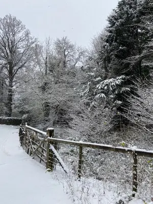 a wooden fence covered in snow next to trees at 3 Millbeck Cottage in Keswick