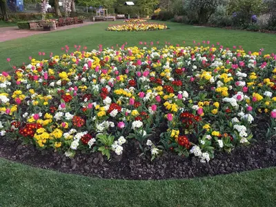 a flower bed of colorful flowers in a park at Burnside B&B in Keswick