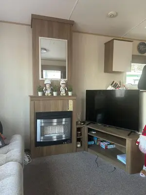 a living room with a flat screen tv and a fireplace at BZ Green Haven Caravan in Ballantrae