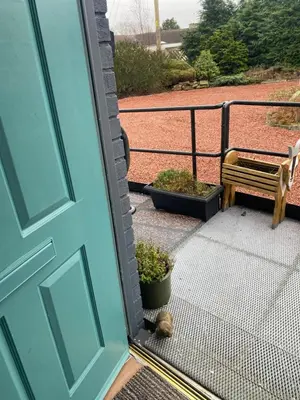 a cat sleeping on a porch next to a door at Gramhor House in Dumfries