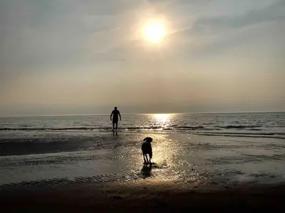 a man and a dog walking on the beach at Cosy Cottage on edge of Lake District in Little Broughton
