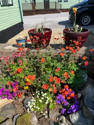 three pots of flowers in a flower garden at West Cumbria static caravan in Workington