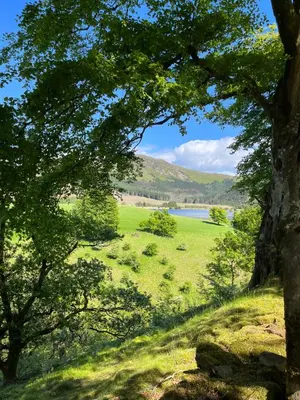 a green field with trees and a lake at West Cumbria static caravan in Workington