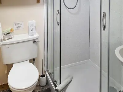 a bathroom with a toilet and a shower at East Challoch Farm Dairy Cottage in Stranraer