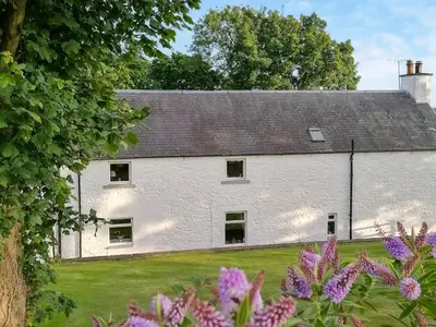 a white cottage with a garden and purple flowers at East Challoch Farm Dairy Cottage in Stranraer