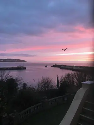 a bird flying over a body of water at sunset at Ravenscliffe Lodge in Douglas