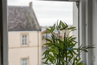 a plant in a window with a building in the background at The Penthouse - Beachwalk Apartments in Ayr
