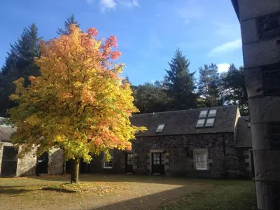 a tree in front of a stone house at Holiday Home Gehöft 2 by Interhome in Tweedsmuir