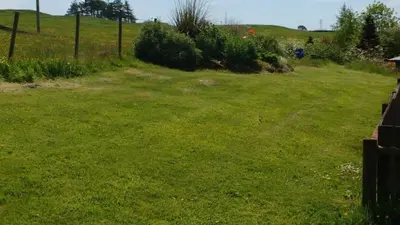 a yard with a field of green grass at Cargenbank Farmhouse in Lochfoot