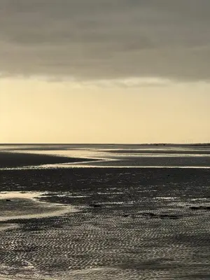 a black and white photo of the beach at Paws A While in Mainsriddle
