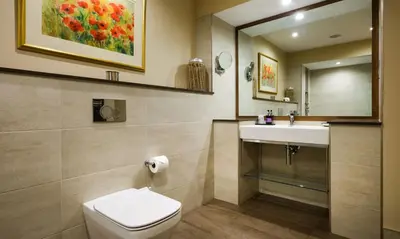 a bathroom with a toilet and a sink and a mirror at Underscar - Ashness in Applethwaite