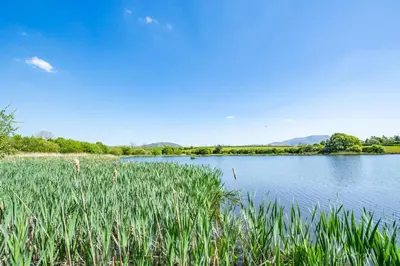 a body of water with tall green grass next to it at 2 Bed in Isel oc-o32077 in Sunderland