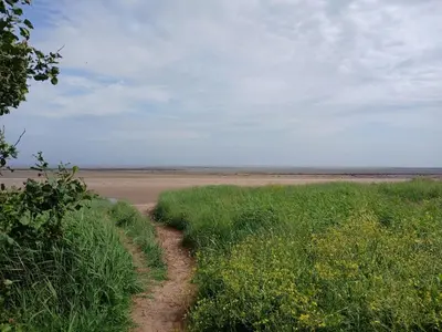 a dirt road in a field with grass and weeds at Mags Home from Home at Southerness in Mainsriddle