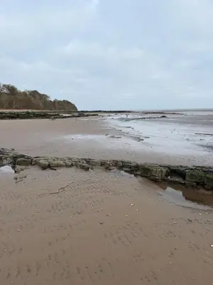 a beach with a rock wall in the sand at Paws A While in Mainsriddle