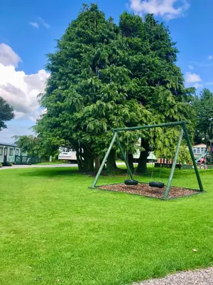 a swing set in a park with a tree at 29 The Beeches in Gilcrux