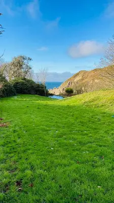a field of green grass with a body of water at Wee Knockinaam, Portpatrick - clifftop seaview in Portpatrick