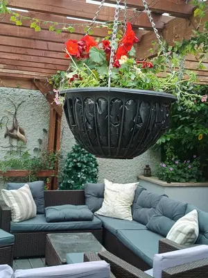 a patio with a hanging planter filled with red flowers at Midtown Farm Bed & Breakfast in Easton