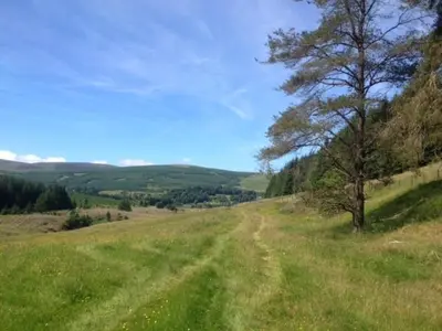 a dirt road in a field with a tree at Hearthstanes Steading in Polmood