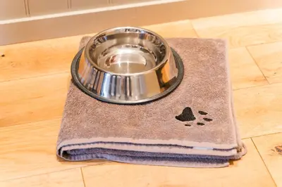 a dog dish sitting on a rug on a floor at Irvine Bay in Irvine