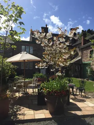 a garden with a tree and an umbrella at Beech House in Greystoke