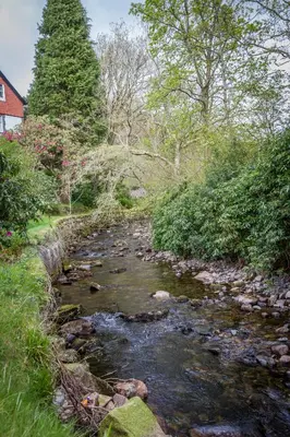 a stream with rocks and trees on the side of it at Stanley House in Eskdale
