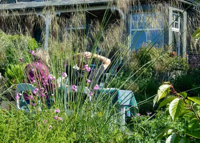 a garden with tall grass and flowers in front of a house at The Mount B&B in Keswick