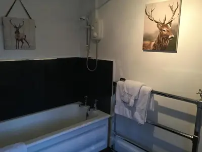 a bathroom with a tub and a picture of a deer on the wall at Sandhill House in Troon