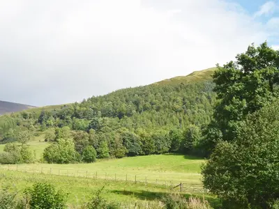 a field with a fence and a hill with trees at Briar Rigg in Keswick