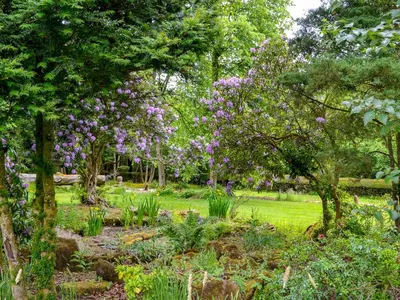 a garden with trees with purple flowers and grass at Gilminscroft Gatehouse in Sorn