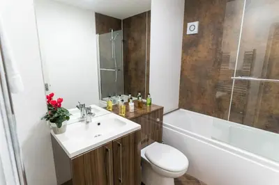 a bathroom with a sink and a toilet and a shower at Irene Court Cockermouth in Cockermouth