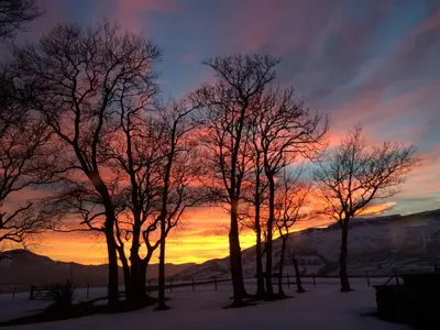 a group of trees with a sunset in the background at Sharp Edge in Penrith