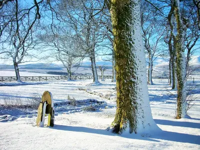 a bench in the snow next to a tree at Bannerdale in Penrith
