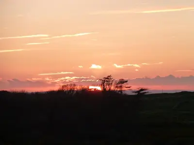 a sunset over a field with trees in the foreground at Cairndoon Byre in Monreith