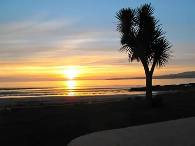 a palm tree on the beach at sunset at Airds Bay Luxury Beach House in Gatehouse of Fleet