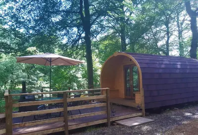 a purple cabin with an umbrella next to a fence at Broomhills Farm River Eco Pods in Carlisle