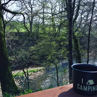 a cup sitting on a table with a view of a river at Broomhills Farm River Eco Pods in Carlisle
