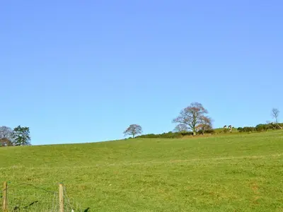 a green field with trees on top of a hill at Liftingstane Cottage in Closeburn