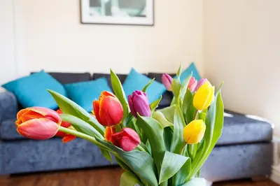 a vase filled with colorful tulips in a living room at Wordsworth Apartment Irene court in Cockermouth