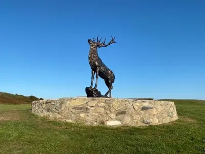 a statue of a deer standing on a rock at Burrowhead Holiday Village in Isle of Whithorn