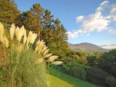 a field of grass with trees and mountains in the background at Holly Bank in Bassenthwaite