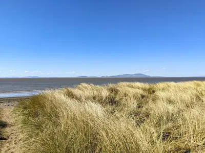 a field of tall grass next to the ocean at Cosy Cottage in Allonby
