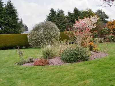 a garden with several plants in a yard at Hameish Holiday Cottage in Kirkcudbright