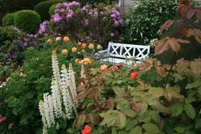 a white bench sitting in a garden of flowers at Westwood - The B&B with a view in Cockermouth