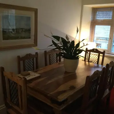 a dining room table with a potted plant on it at In House Garden Flat in Castle Douglas