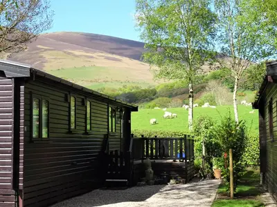 a cabin with a view of a field with sheep at Bewick Lodge in Keswick