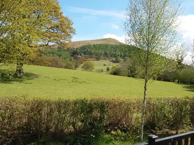 a tree in a field with a hill in the background at Whinny Brow - Burnside Park in Keswick